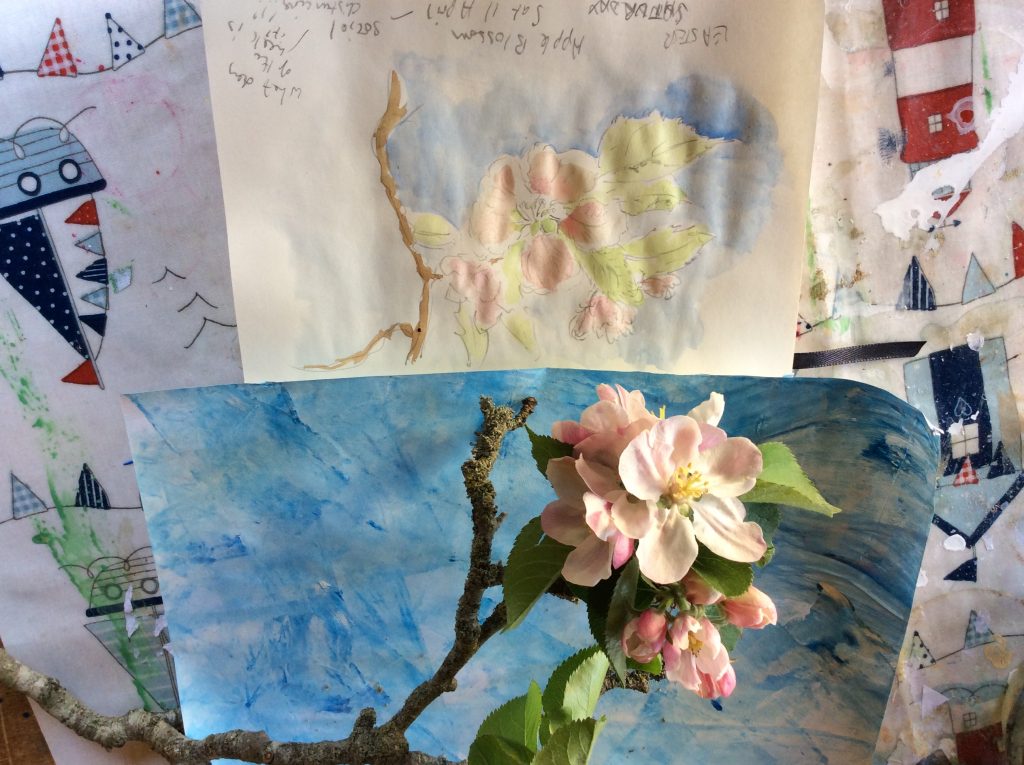 I cut off a twig of apple blossom and did a quick watercolour sketch, took some photos on some sky coloured papers.