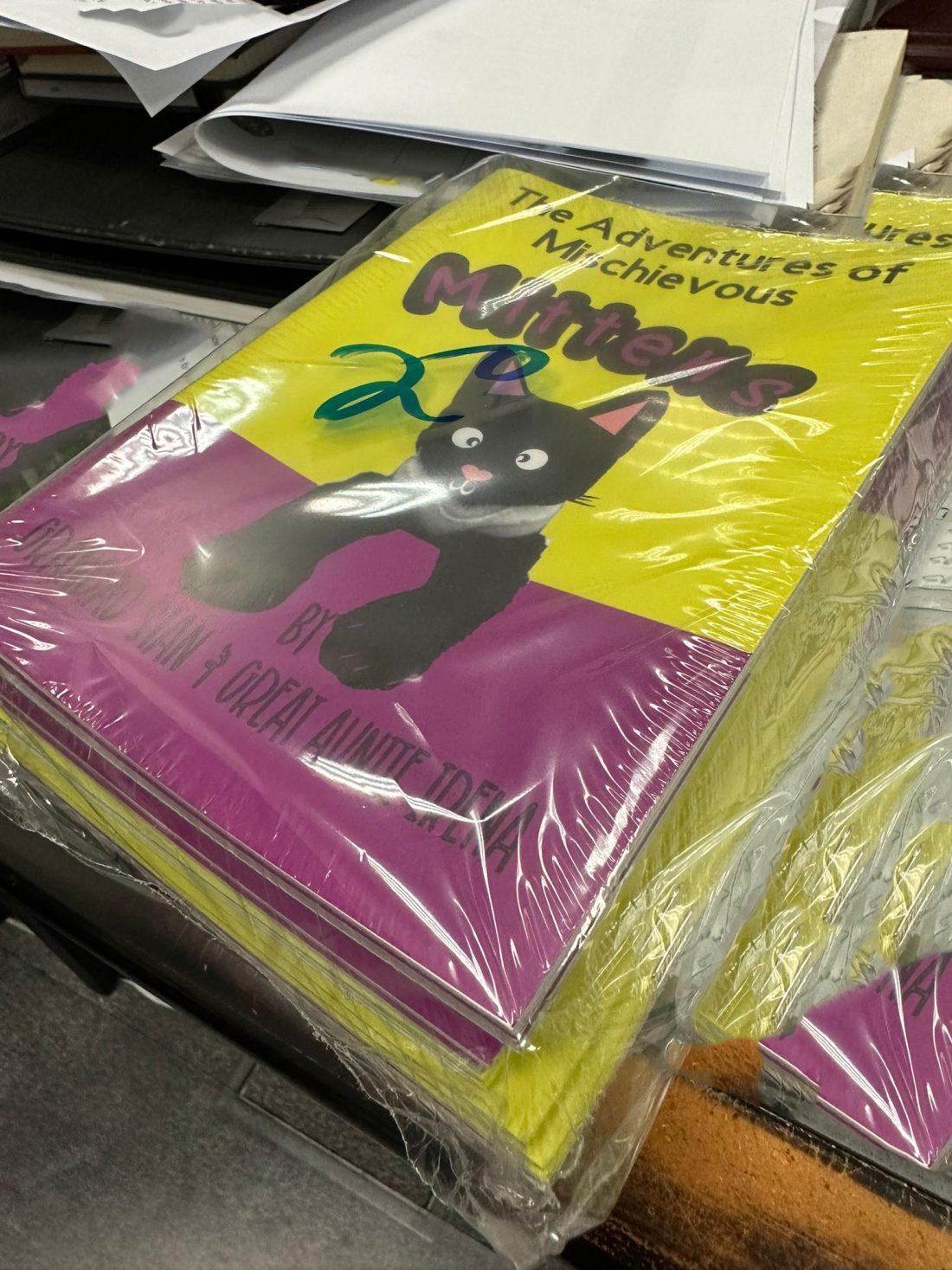 Mitten Book Cover by Irena Boobyer